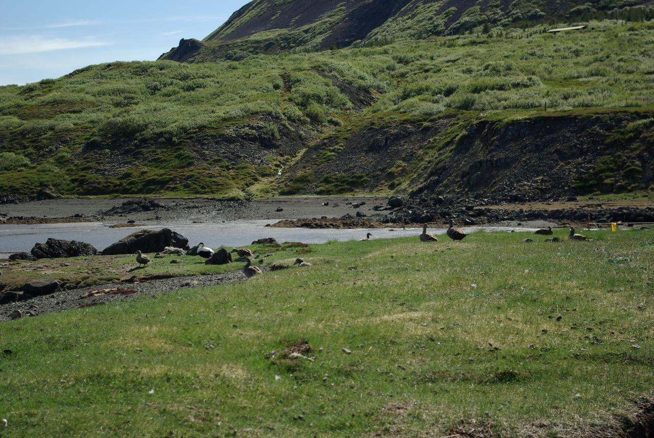 Reykholar Hostel ภายนอก รูปภาพ